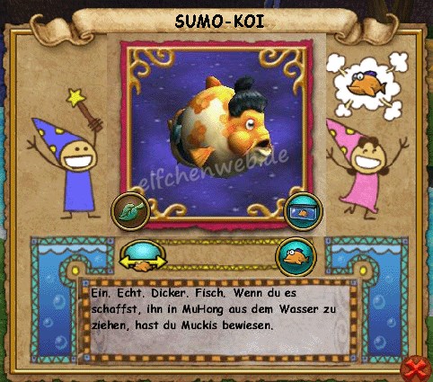sumo-Koi