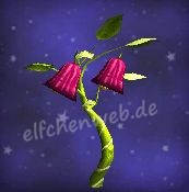 violettes Pfefferglöckchen