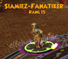 siamiez-Fanatiker (Balance)