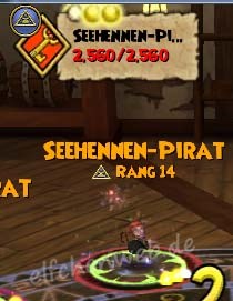 seehennen-pirat