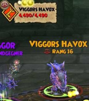 viggors havox balance
