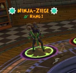ninja-ziege