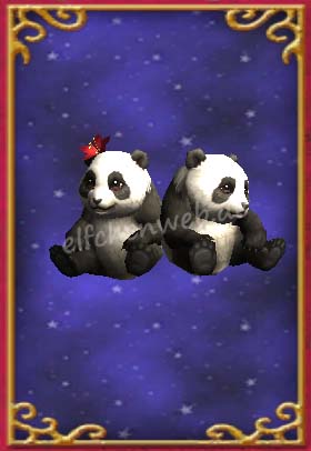 süße pandabärchen