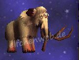 Wüsten-Mammut